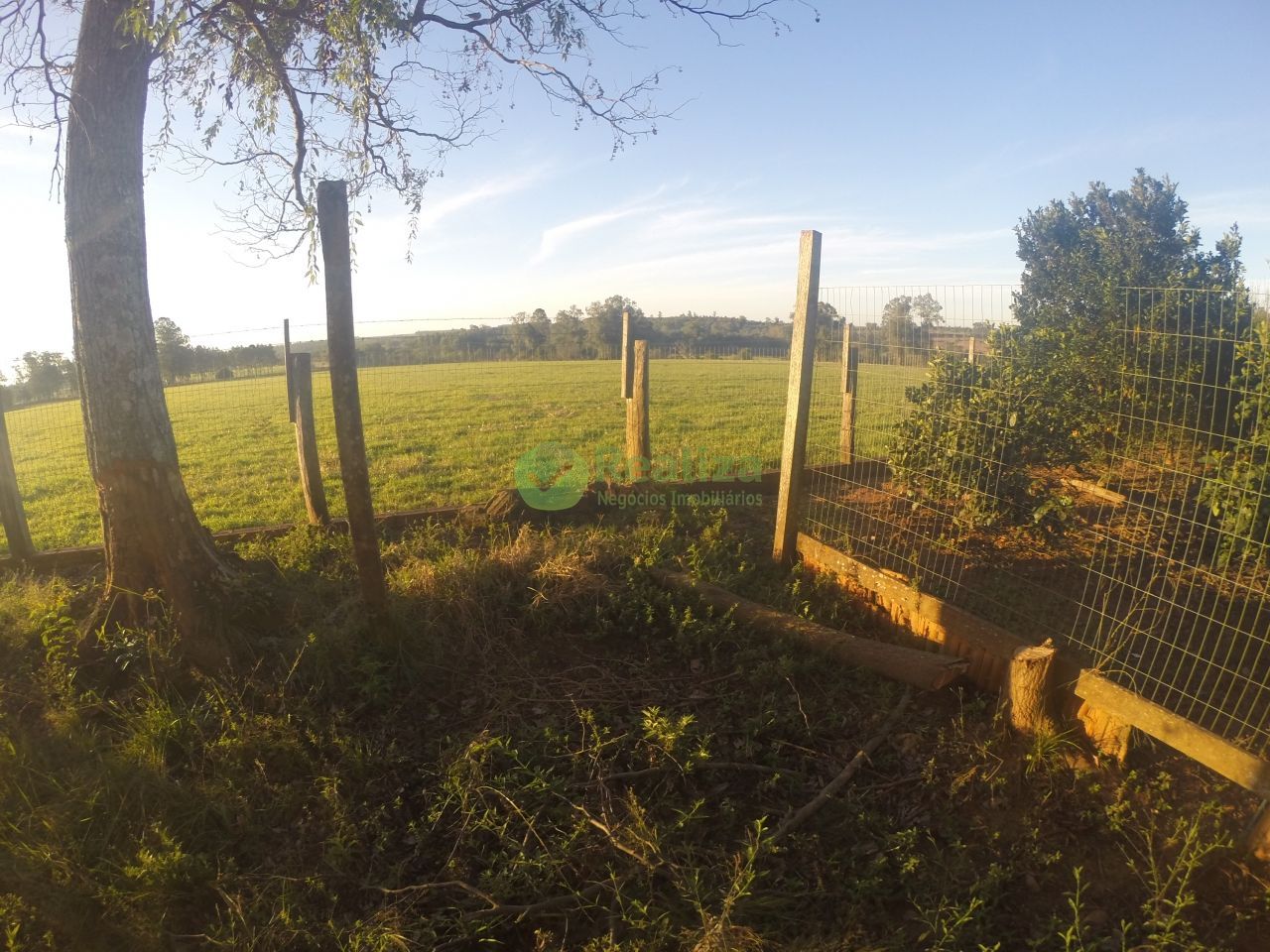 Sítio, 3 quartos, 5 hectares - Foto 34