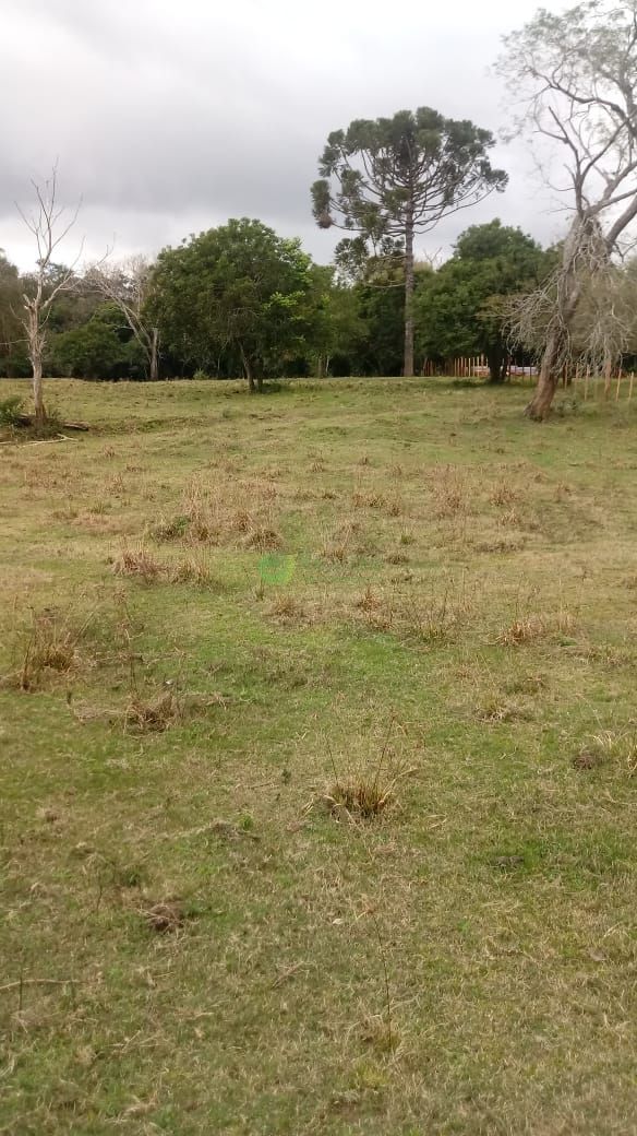 Terreno, 1560 m² - Foto 1