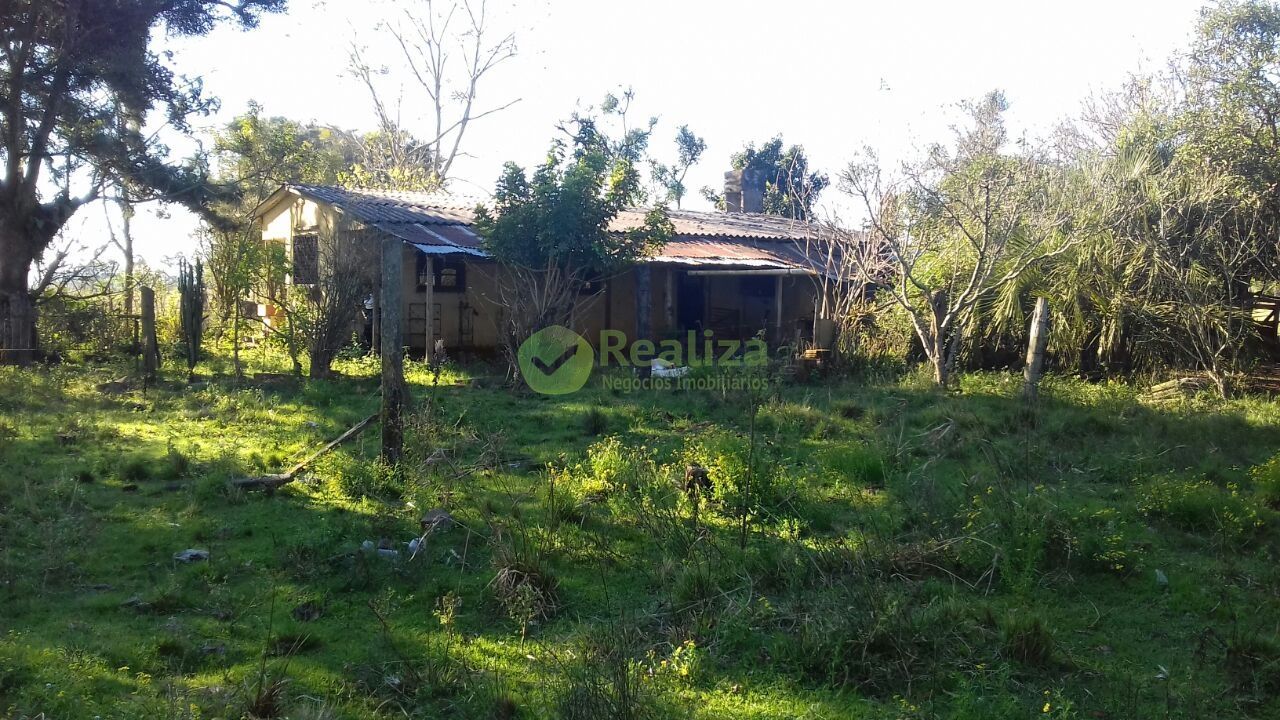 Sítio, 4 quartos, 5 hectares - Foto 6