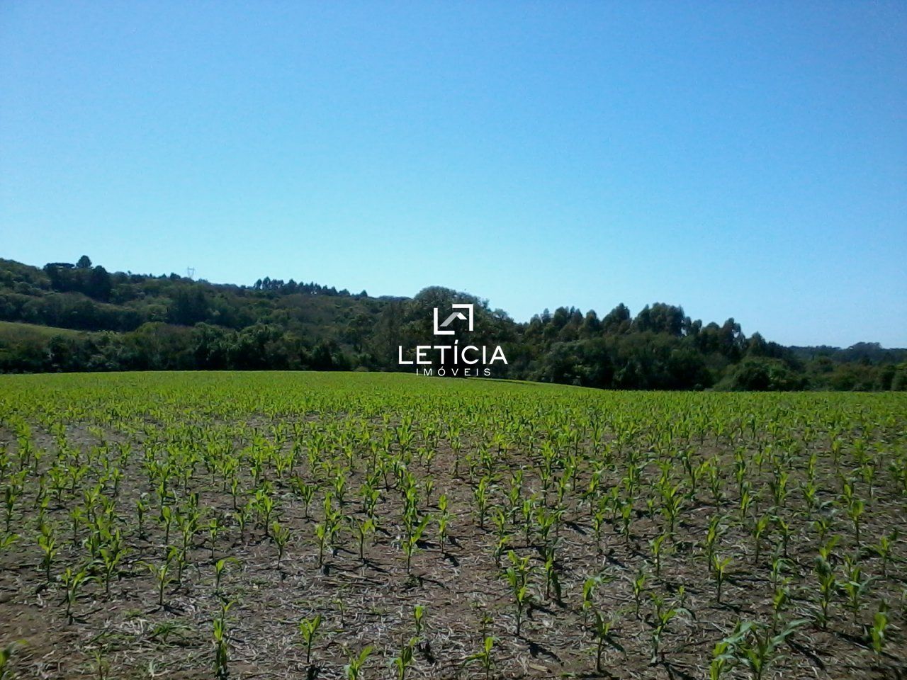 Fazenda/sítio/chácara/haras à venda  no Centro - Itaara, RS. Imóveis