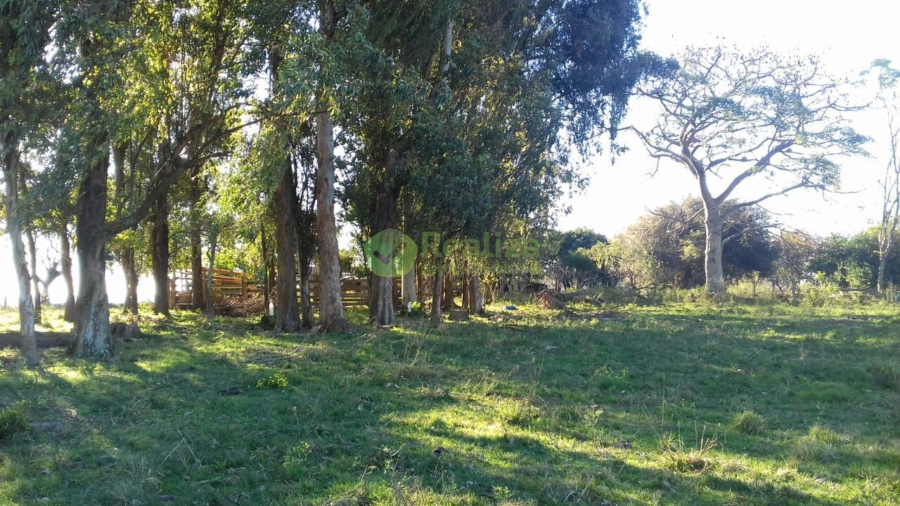 Fazenda à venda com 4 quartos, 45000m² - Foto 10