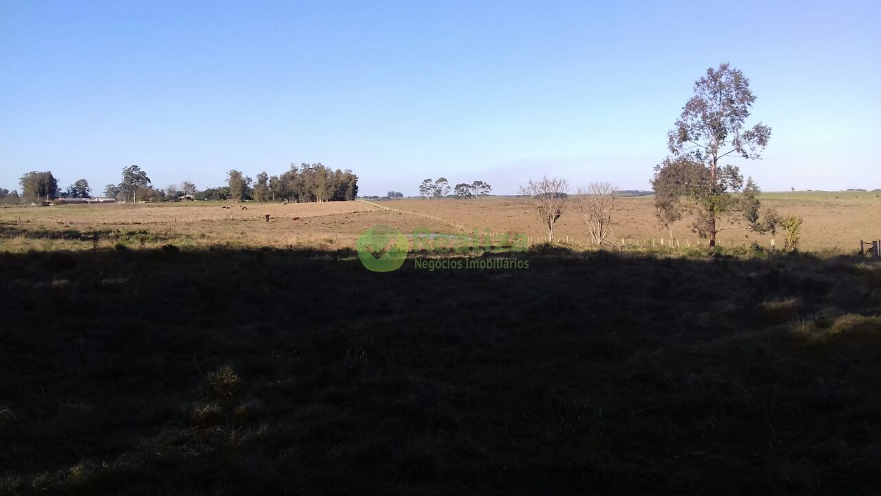 Fazenda à venda com 4 quartos, 45000m² - Foto 7