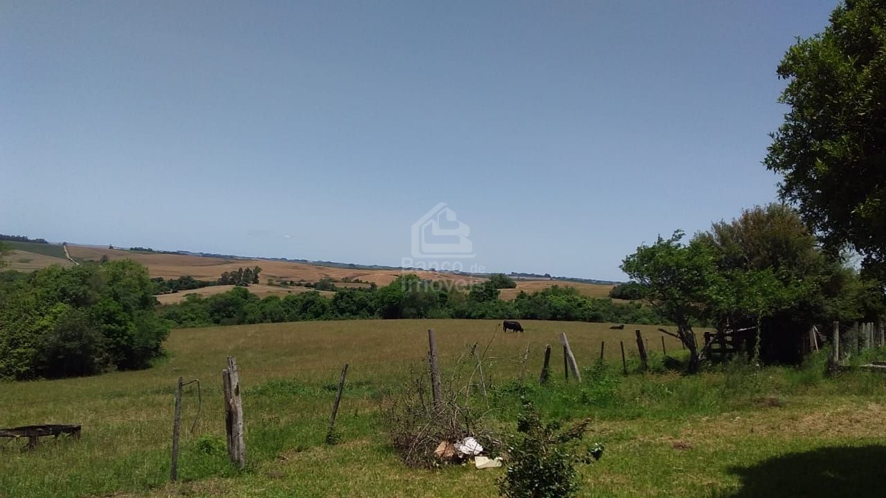 Fazenda à venda com 3 quartos, 100000m² - Foto 12