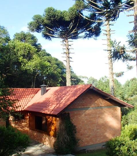 Chácara à venda com 1 quarto, 100m² - Foto 5