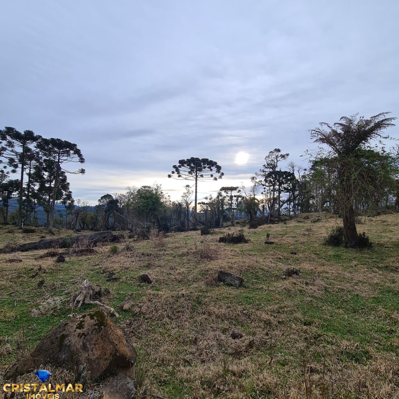 Loteamento e Condomínio à venda, 40000m² - Foto 9