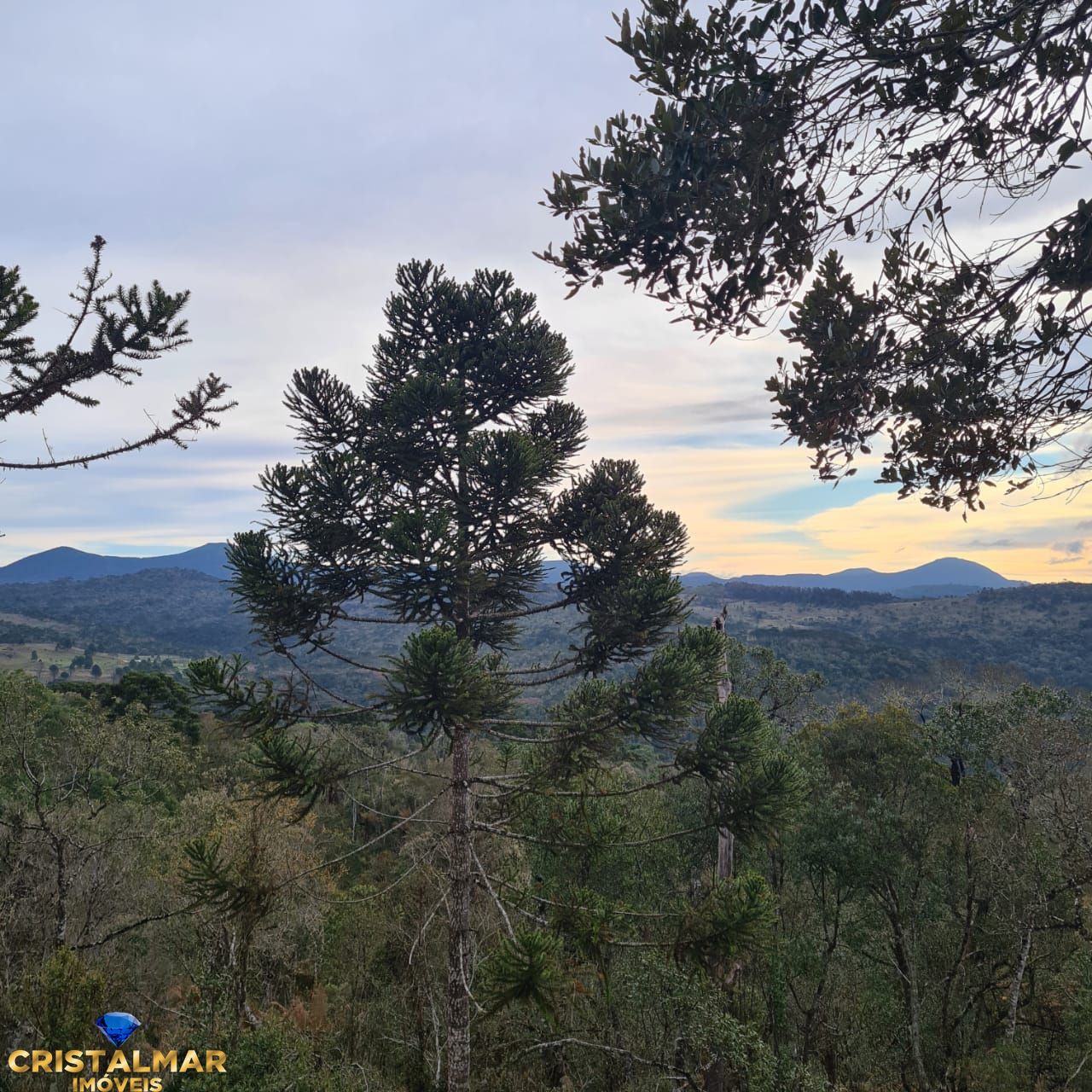 Loteamento e Condomínio à venda, 40000m² - Foto 14