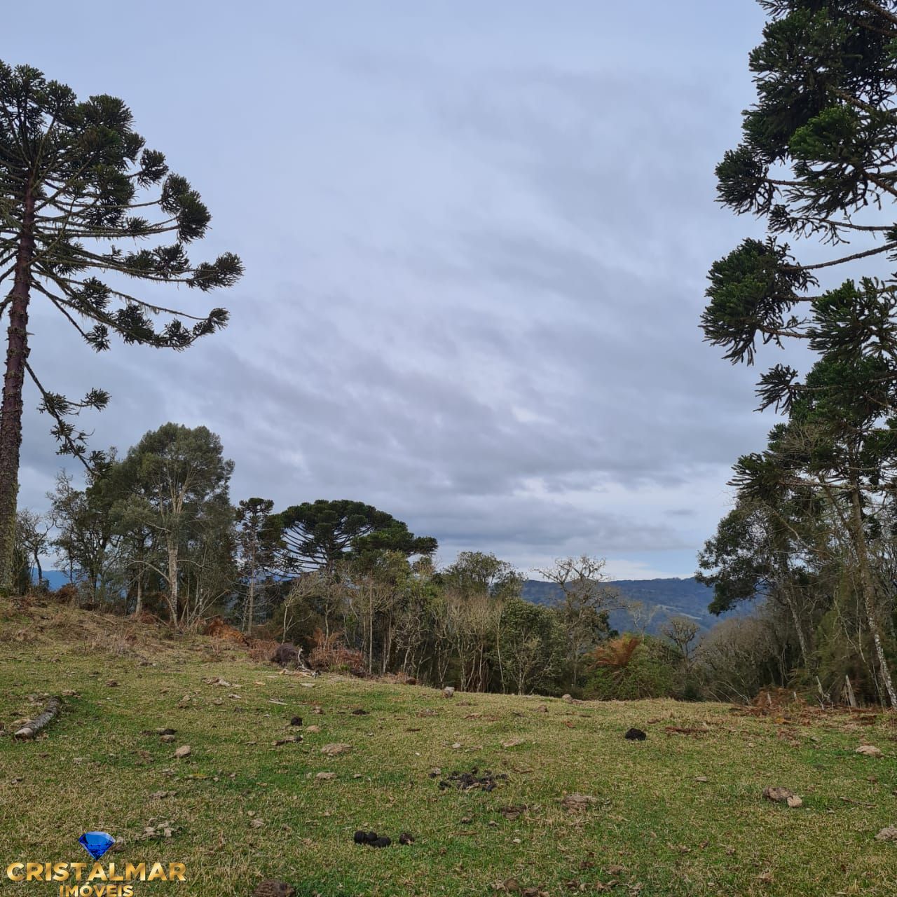 Loteamento e Condomínio à venda, 40000m² - Foto 16