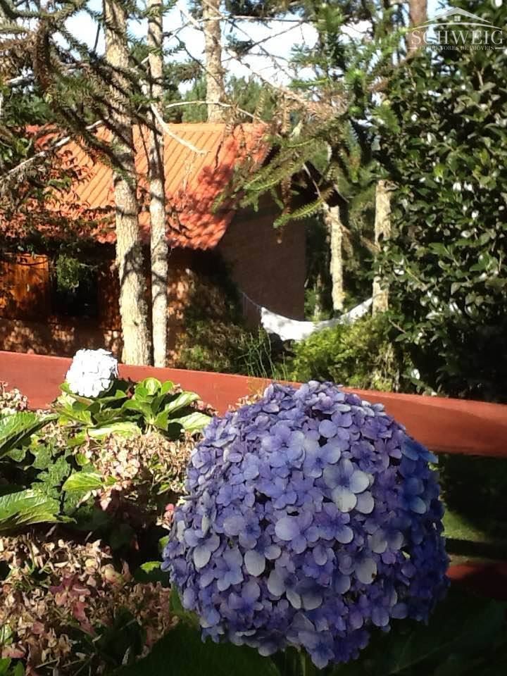 Chácara à venda com 1 quarto, 100m² - Foto 17