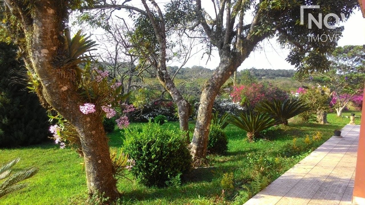 Sítio à venda com 3 quartos, 65000m² - Foto 17