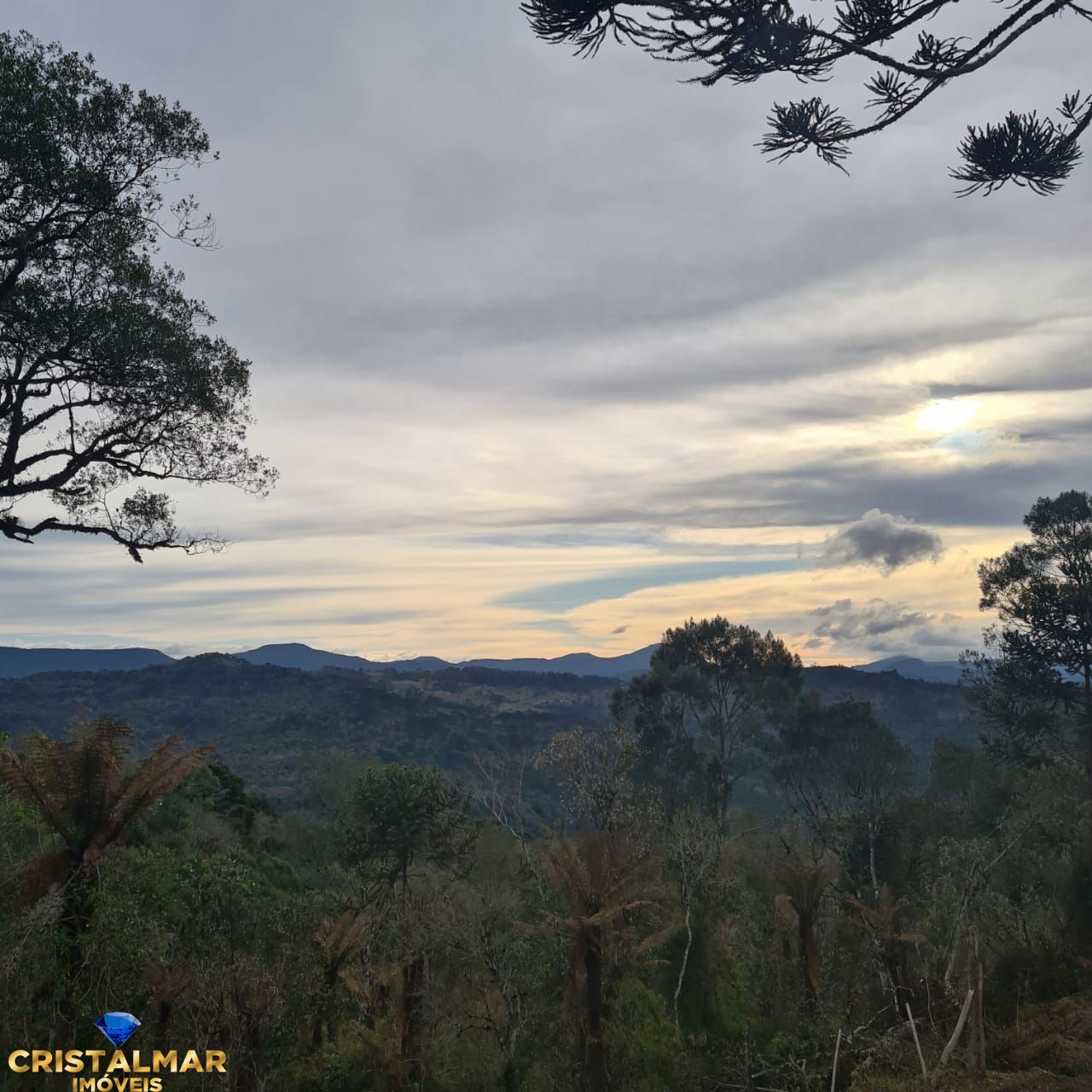 Loteamento e Condomínio à venda, 40000m² - Foto 2