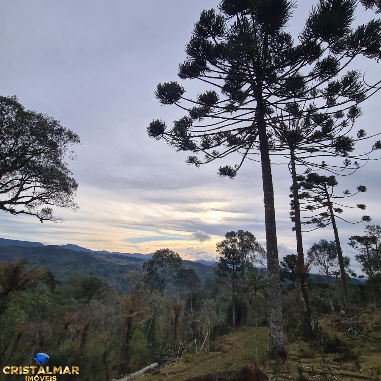 Loteamento e Condomínio à venda, 40000m² - Foto 12