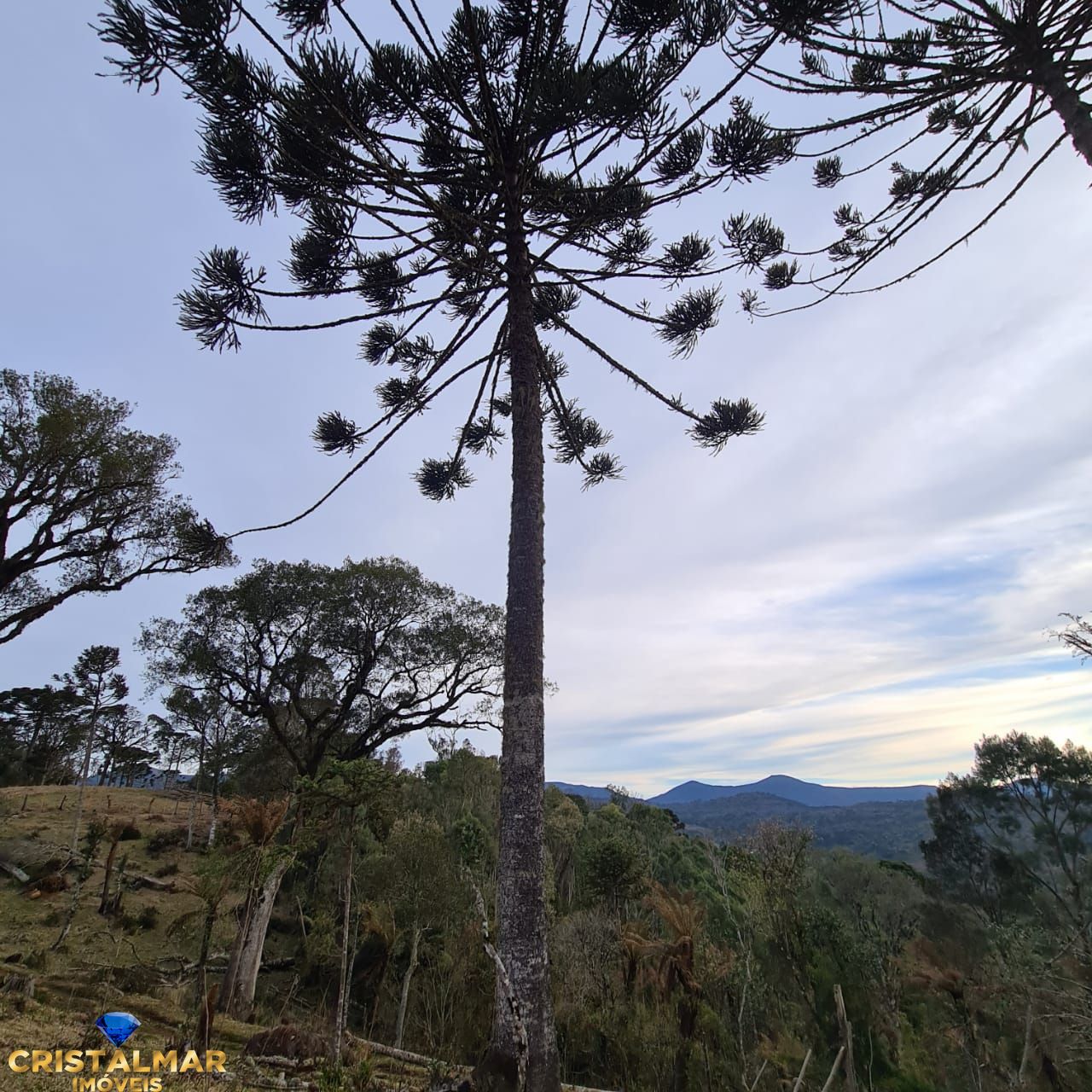 Loteamento e Condomínio à venda, 40000m² - Foto 17