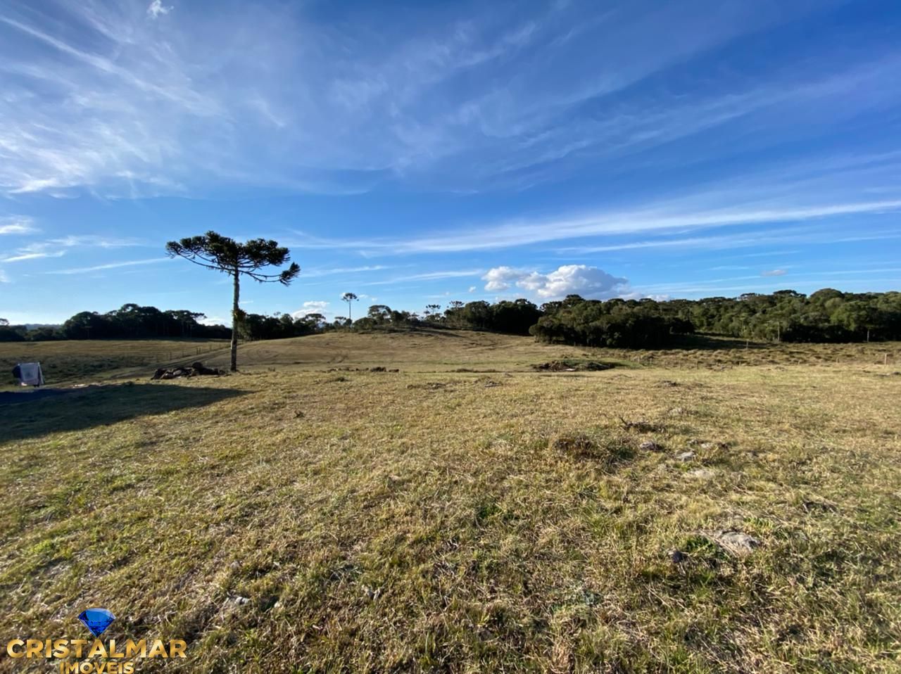 Loteamento e Condomínio, 2 hectares - Foto 4