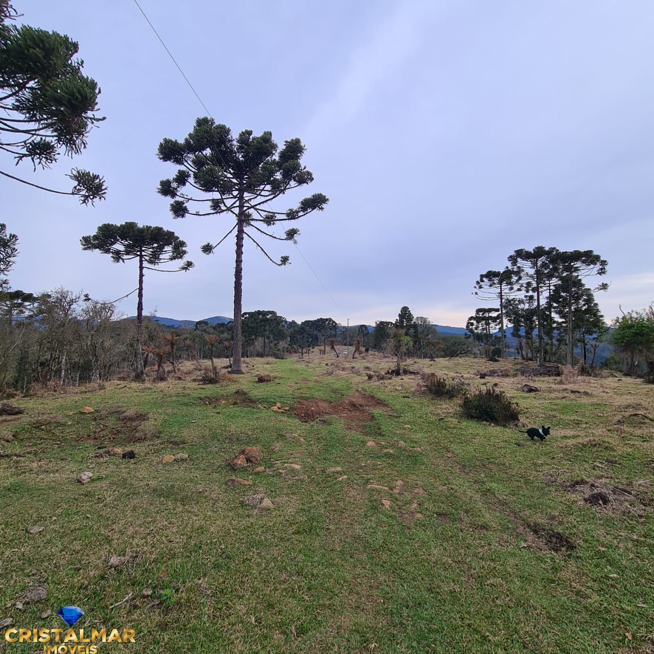 Loteamento e Condomínio, 18 hectares - Foto 3