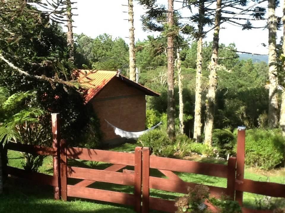 Chácara à venda com 1 quarto, 100m² - Foto 4