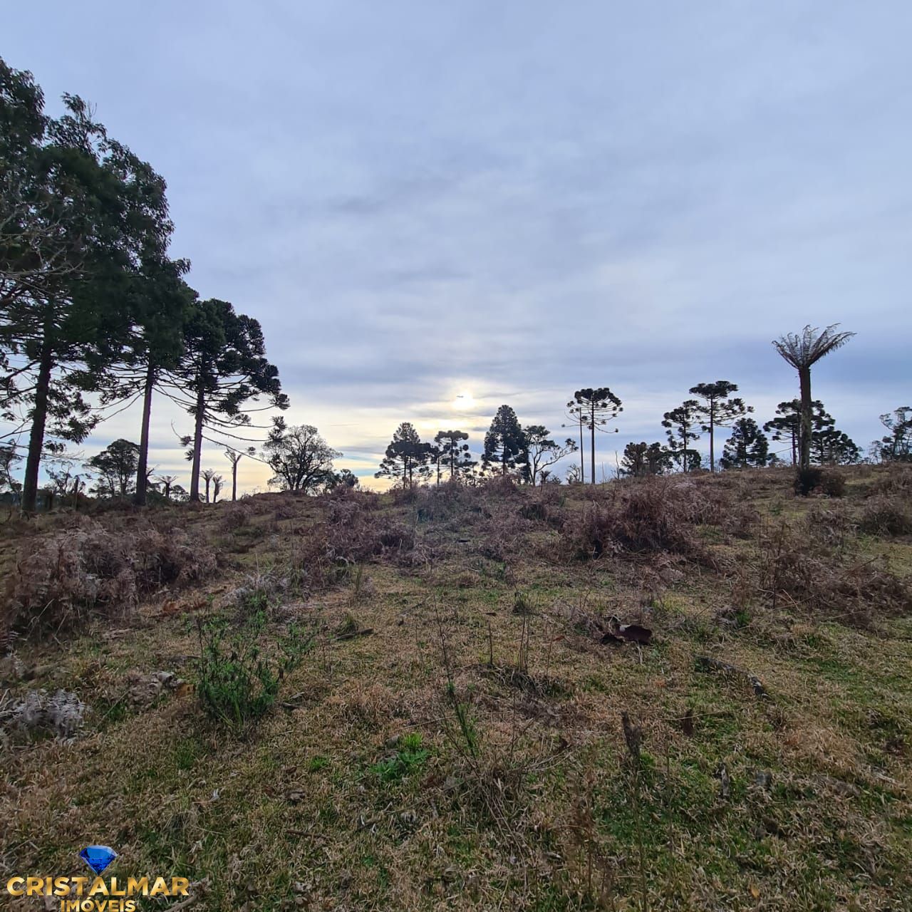 Loteamento e Condomínio à venda, 40000m² - Foto 15