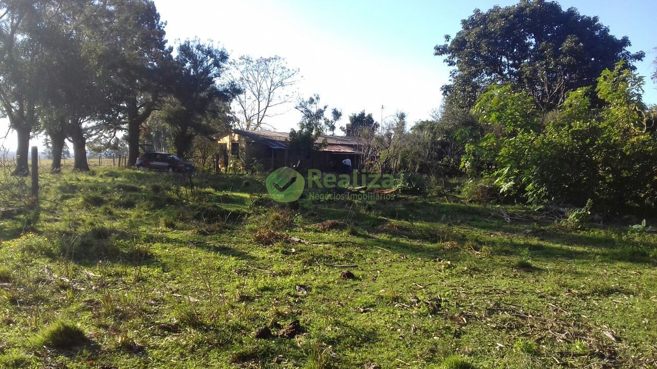 Fazenda à venda com 4 quartos, 45000m² - Foto 16