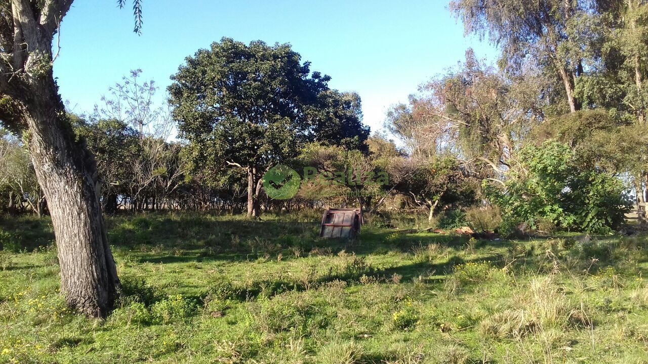 Fazenda à venda com 4 quartos, 45000m² - Foto 17