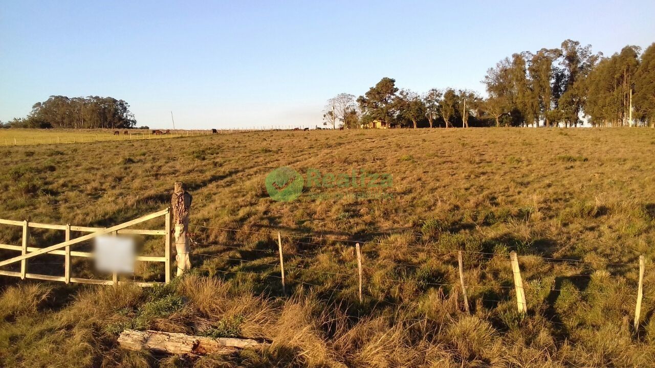 Fazenda à venda com 4 quartos, 45000m² - Foto 13