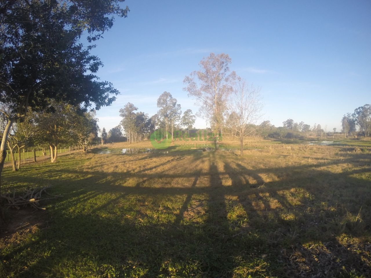 Sítio, 3 quartos, 5 hectares - Foto 5