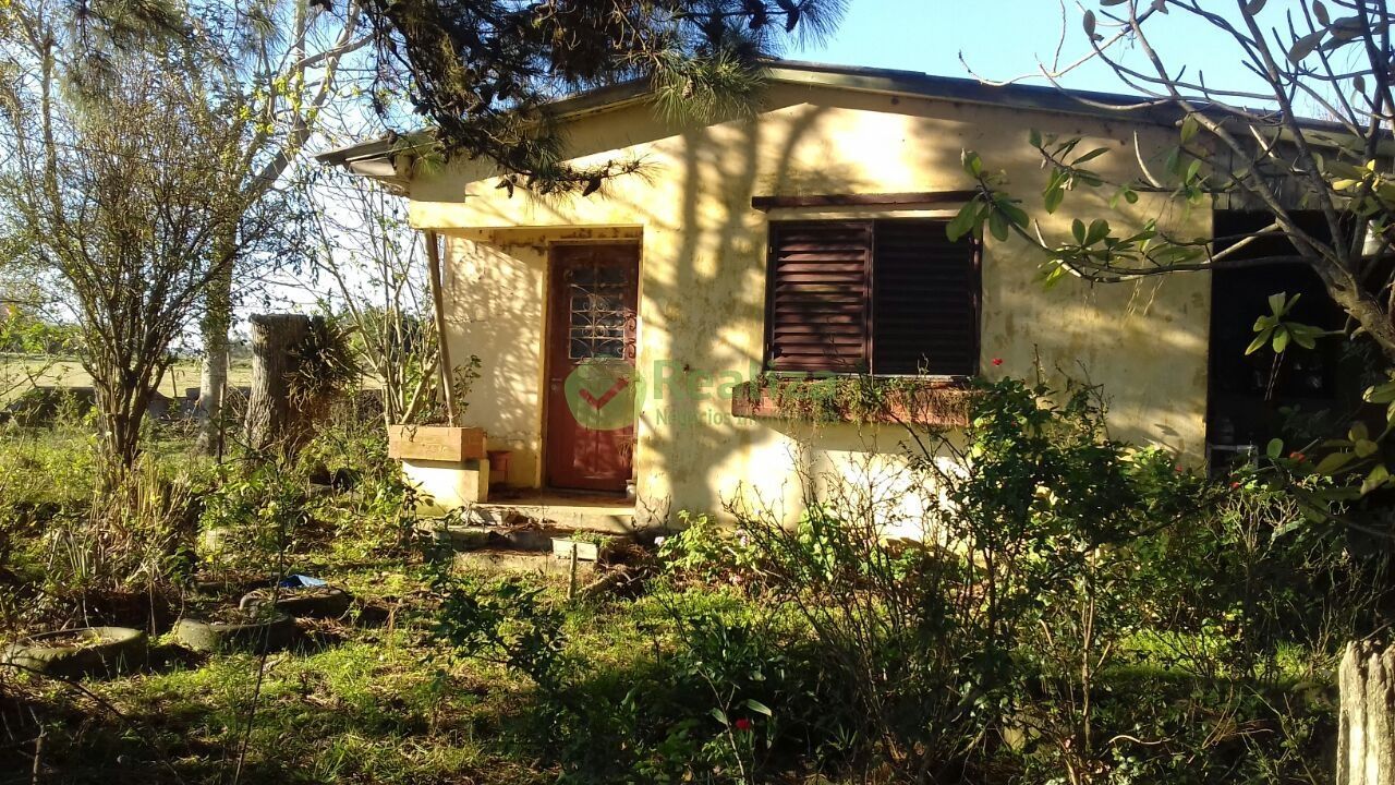 Sítio, 4 quartos, 5 hectares - Foto 1