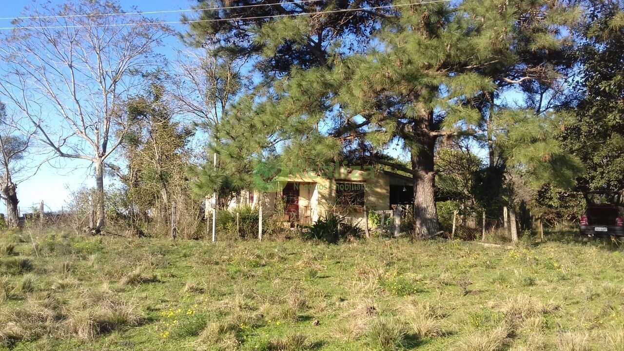 Fazenda à venda com 4 quartos, 45000m² - Foto 3