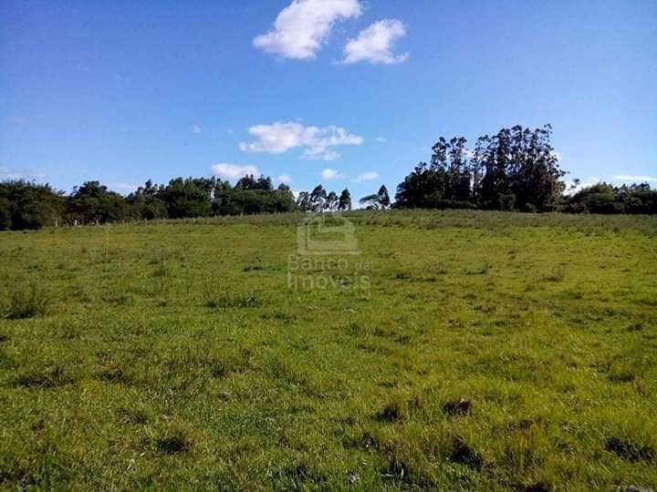 Fazenda-Sítio-Chácara, 6 hectares - Foto 3