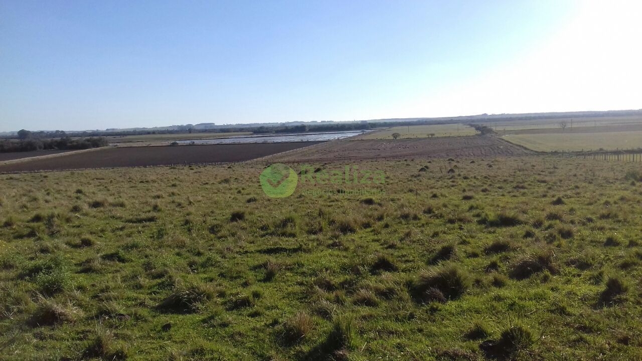 Sítio, 4 quartos, 5 hectares - Foto 8