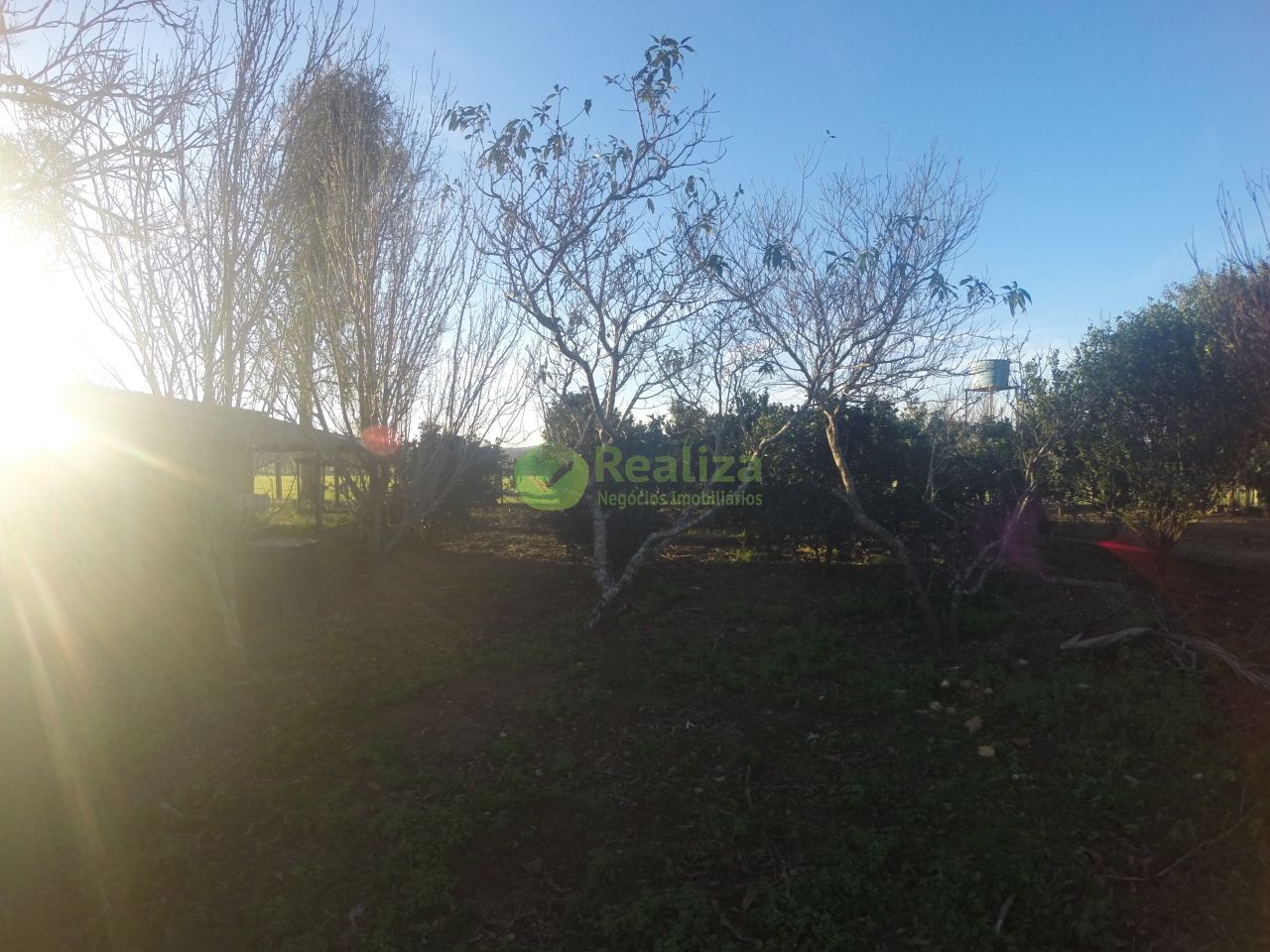 Sítio, 3 quartos, 5 hectares - Foto 30