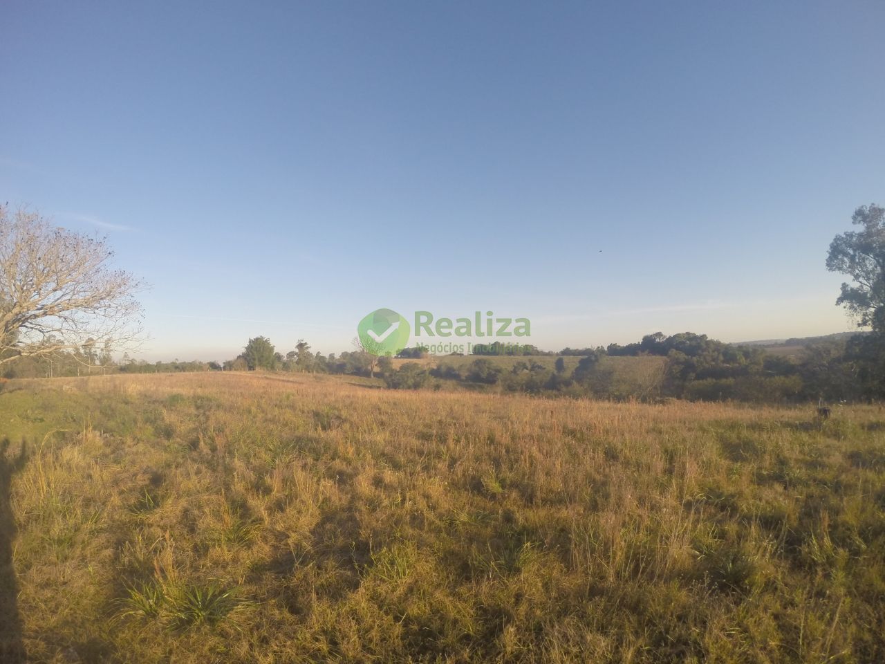 Sítio, 3 quartos, 5 hectares - Foto 39