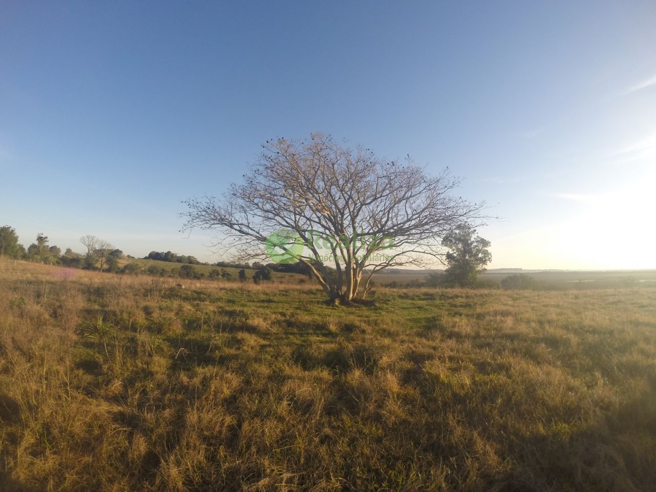 Sítio, 3 quartos, 5 hectares - Foto 38