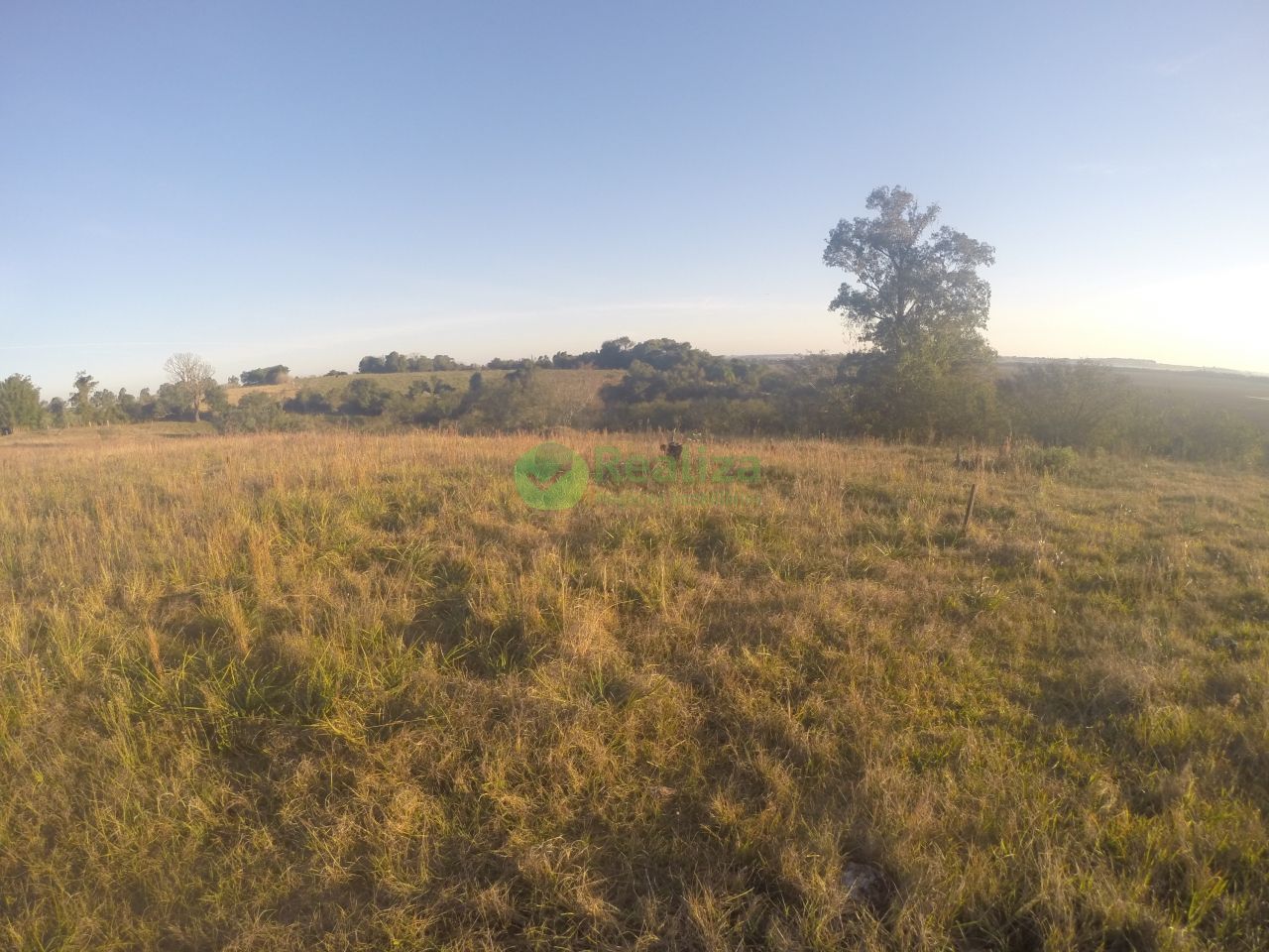 Sítio, 3 quartos, 5 hectares - Foto 41