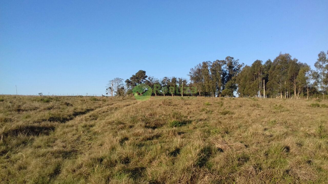 Fazenda à venda com 4 quartos, 45000m² - Foto 19