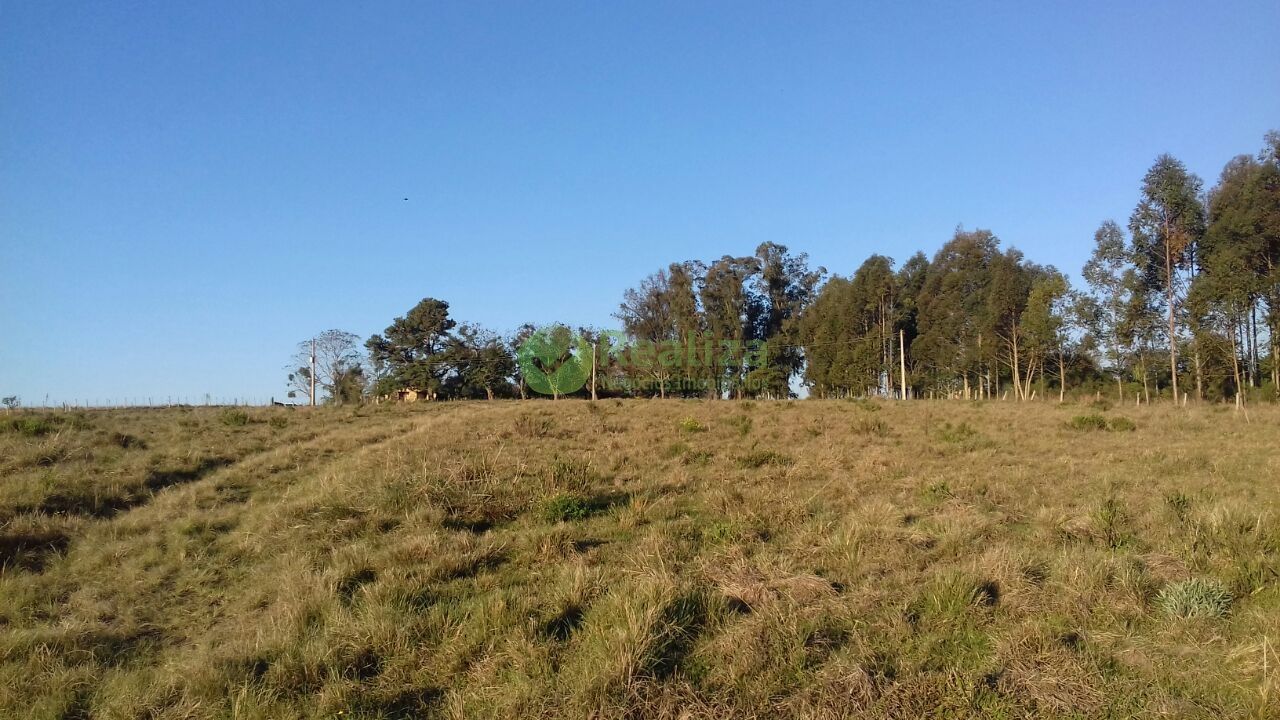 Fazenda à venda com 4 quartos, 45000m² - Foto 14