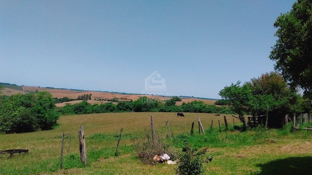 Fazenda à venda com 3 quartos, 100000m² - Foto 11