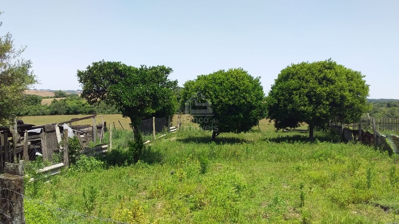 Fazenda à venda com 3 quartos, 100000m² - Foto 13