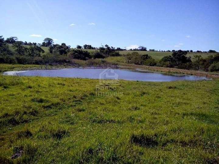 Fazenda-Sítio-Chácara, 6 hectares - Foto 1