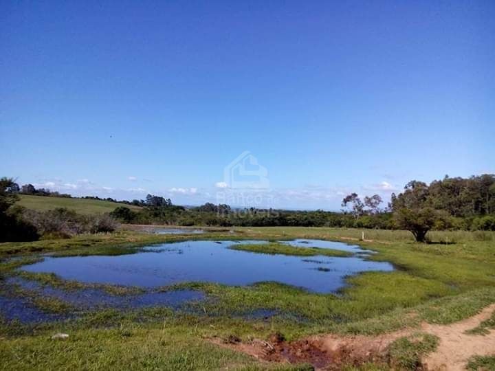 Fazenda-Sítio-Chácara, 6 hectares - Foto 4