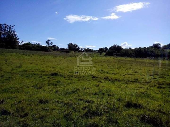 Fazenda-Sítio-Chácara, 6 hectares - Foto 2