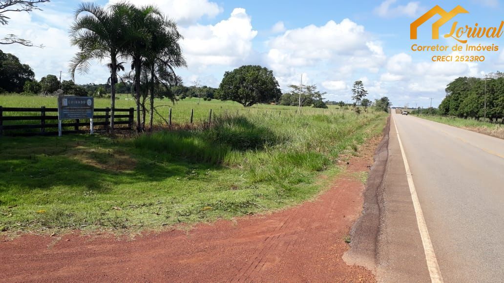 Fazenda-Sítio-Chácara, 247 hectares - Foto 2