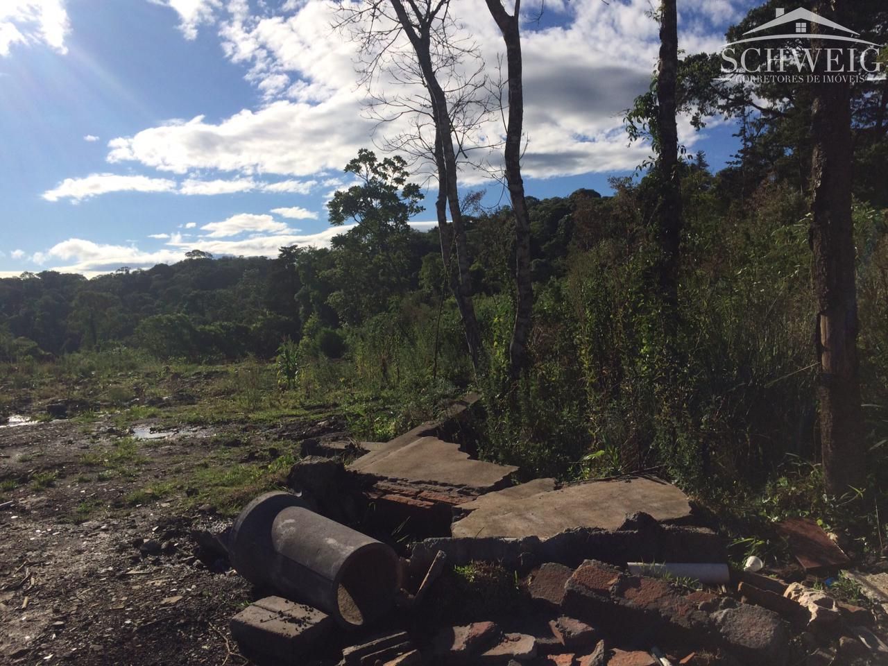 Terreno à venda, 1000m² - Foto 3