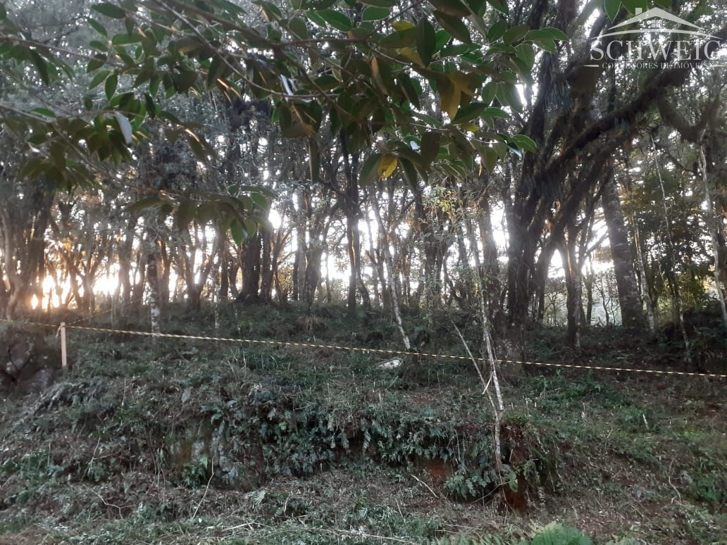 Terreno, 1000 m² - Foto 1