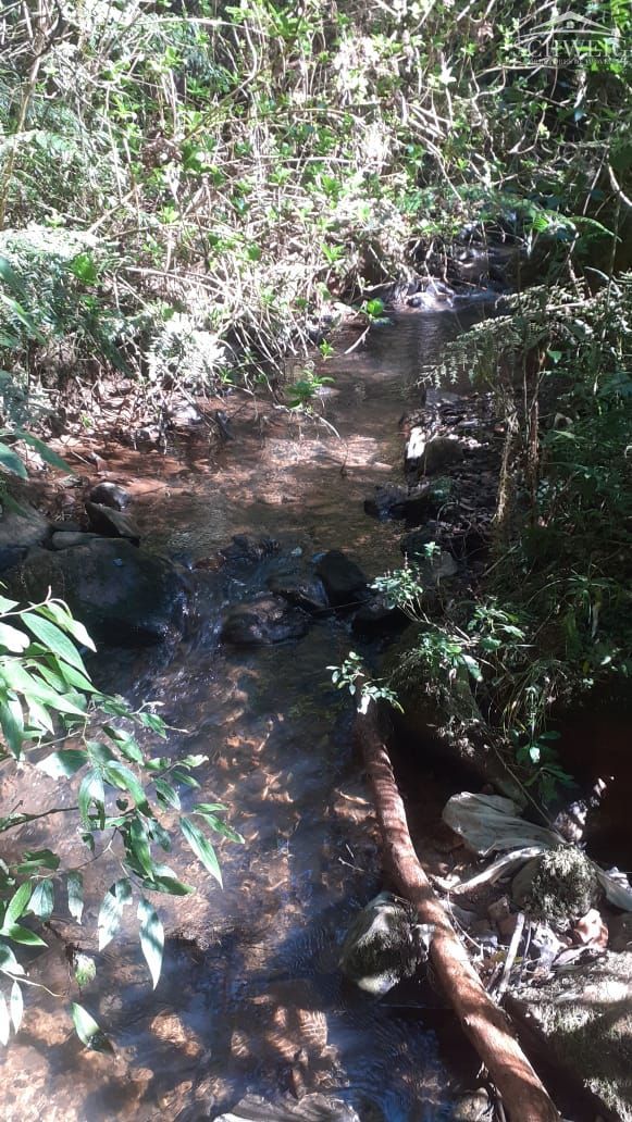 Terreno, 1000 m² - Foto 5