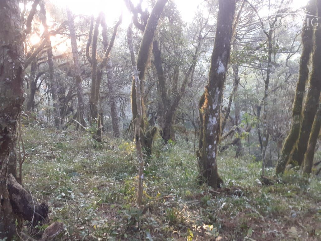 Terreno, 1000 m² - Foto 4