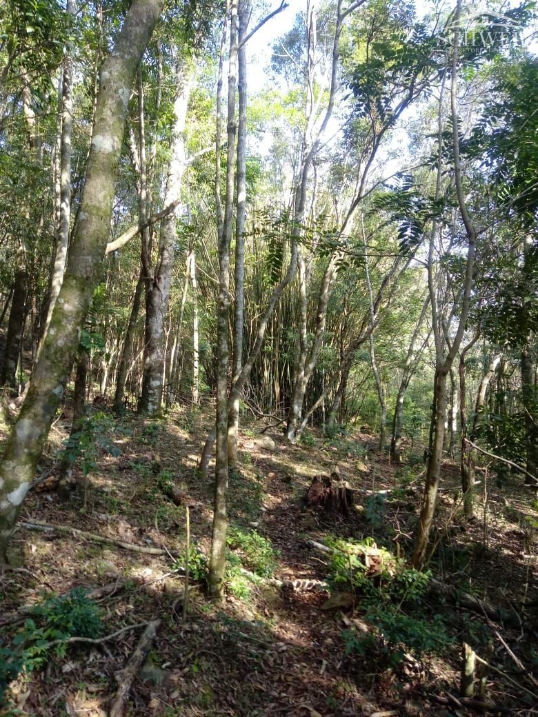 Terreno, 1000 m² - Foto 2