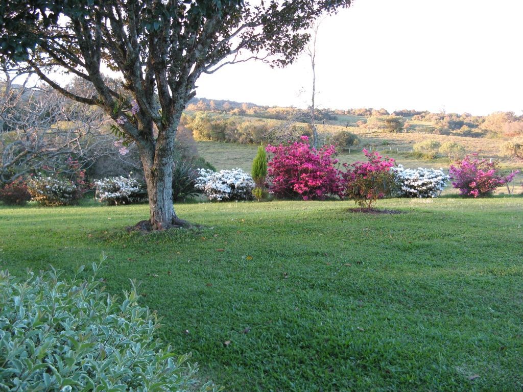 Sítio à venda com 3 quartos, 65000m² - Foto 11