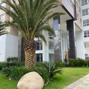 Apartamento com 109m², 3 dormitórios, 1 suíte, 2 vagas no San Pietro em Torres para Comprar
