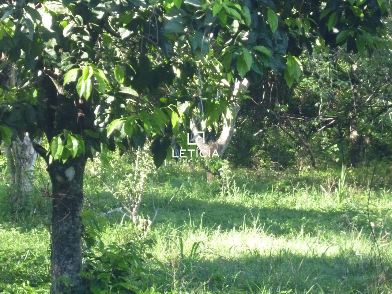 Terreno/Lote  venda  no Camobi - Santa Maria, RS. Imveis