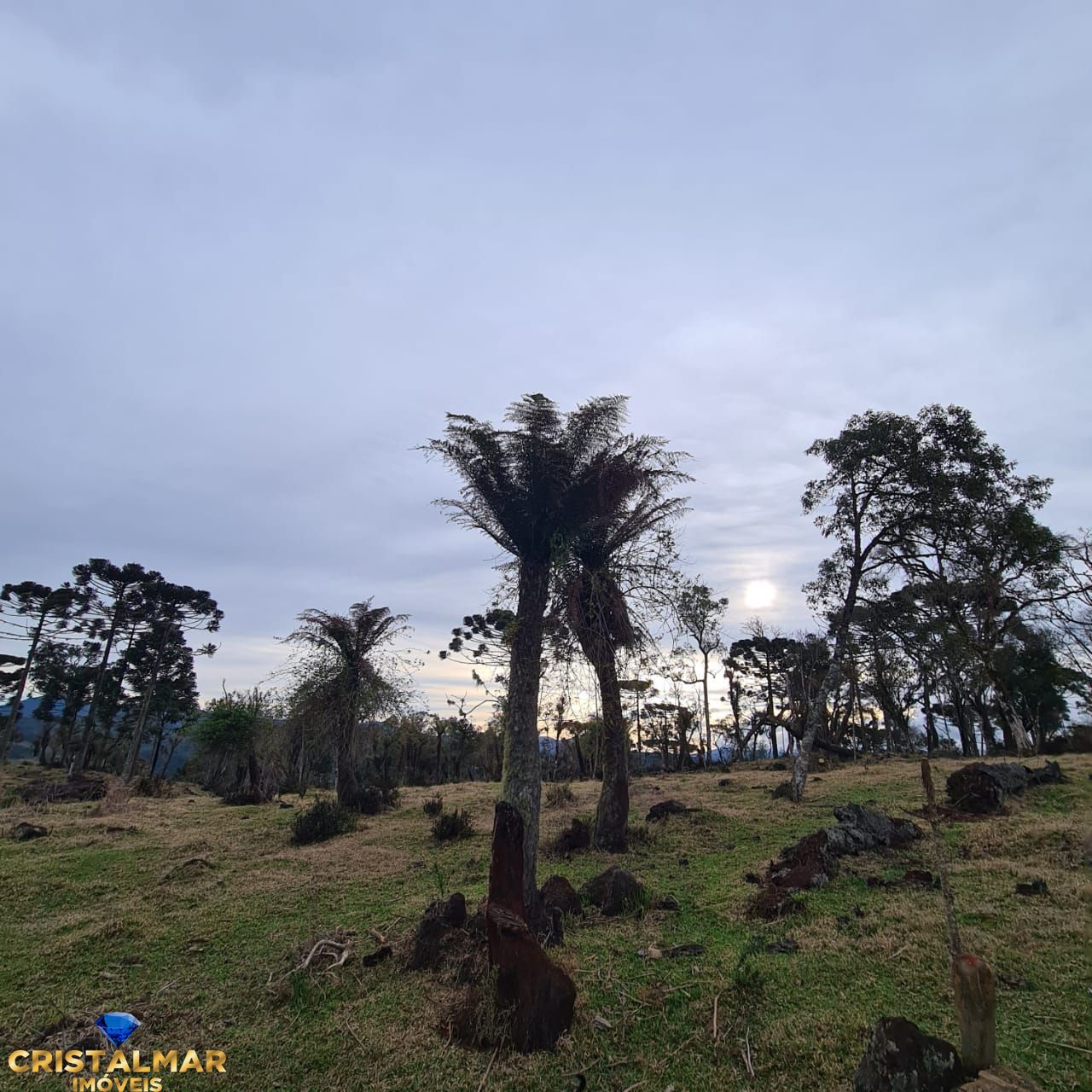 Loteamento e Condomínio à venda, 182000m² - Foto 5