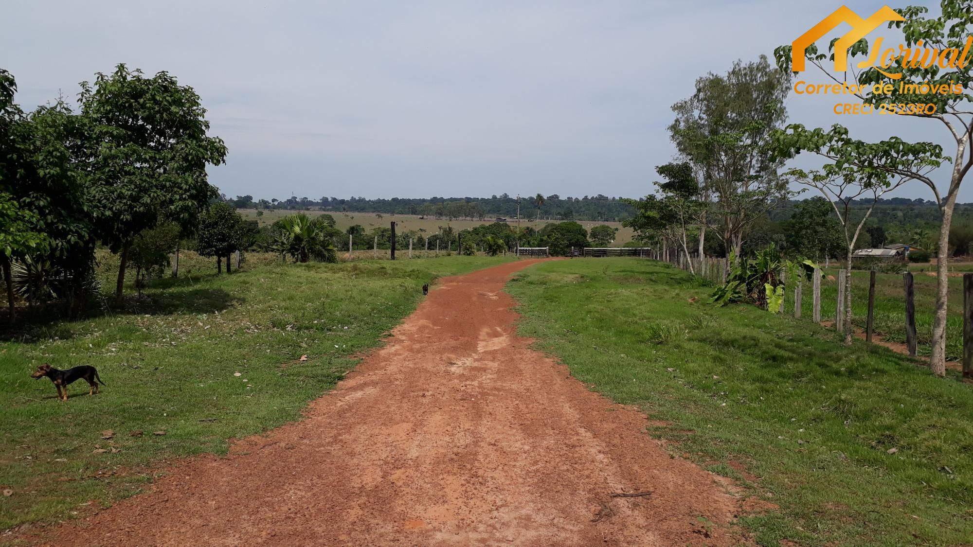 Fazenda à venda, 2420000m² - Foto 11